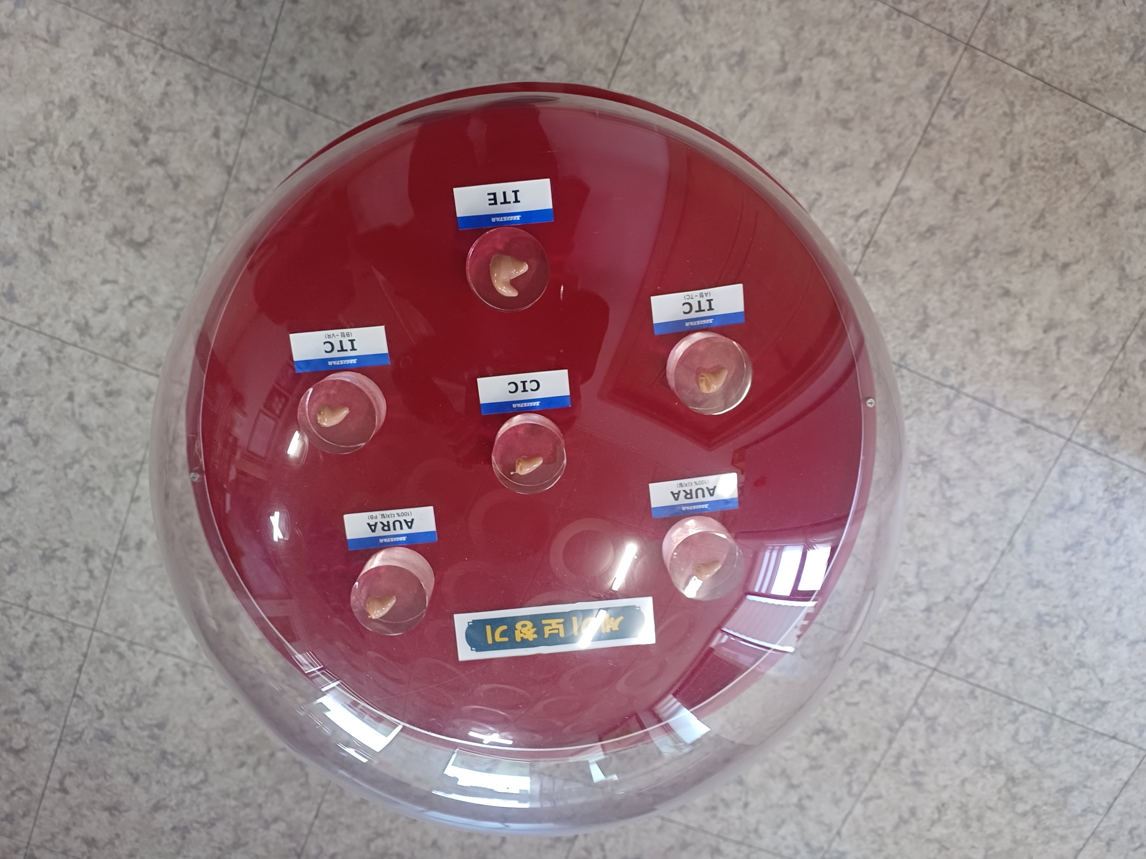 세기보청기 대표 이미지