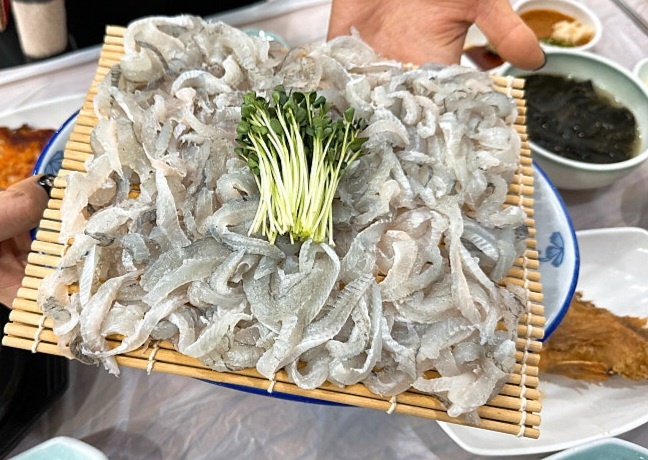 부산산오징어