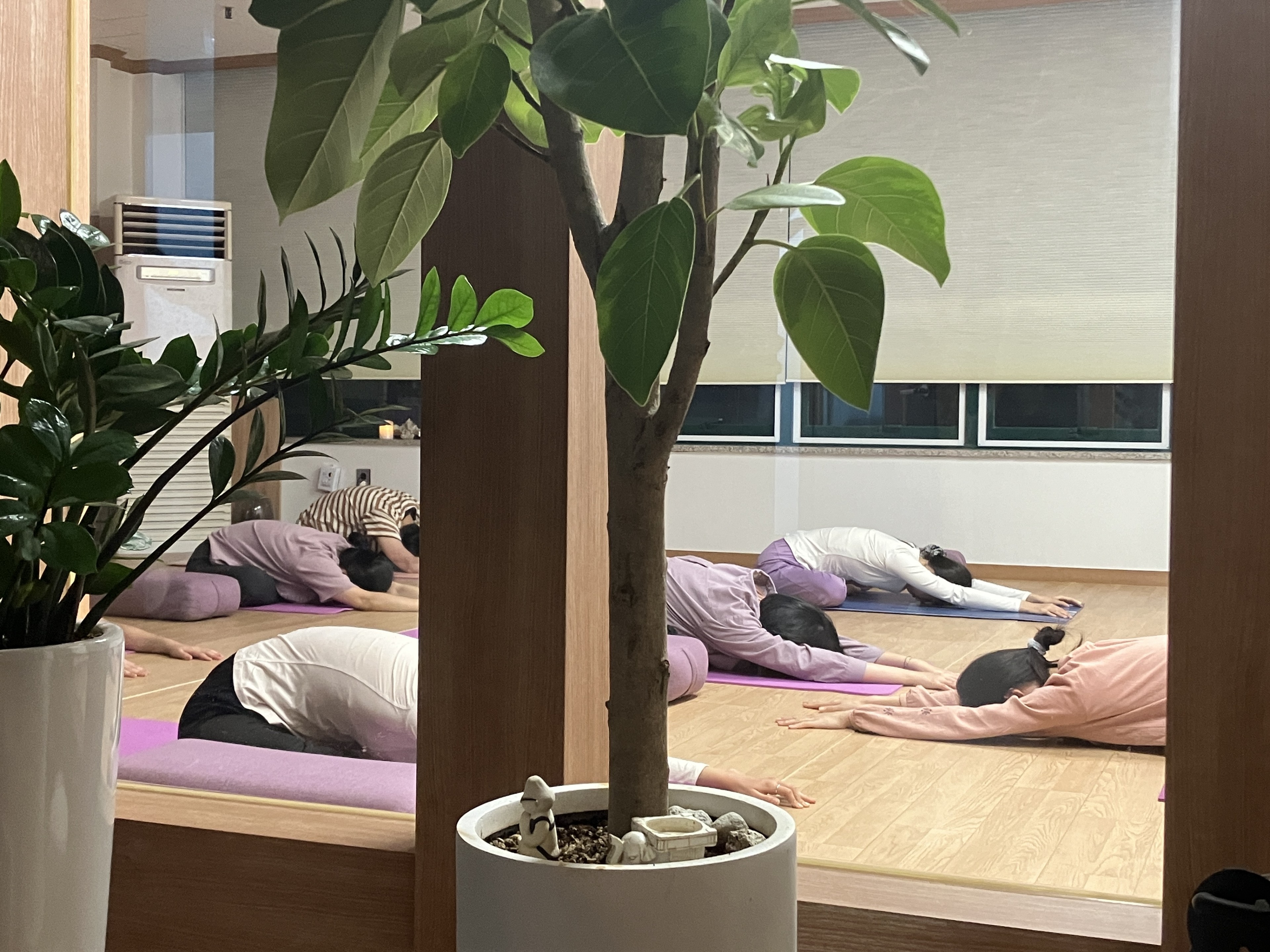 마더요가아쉬람 대표 이미지