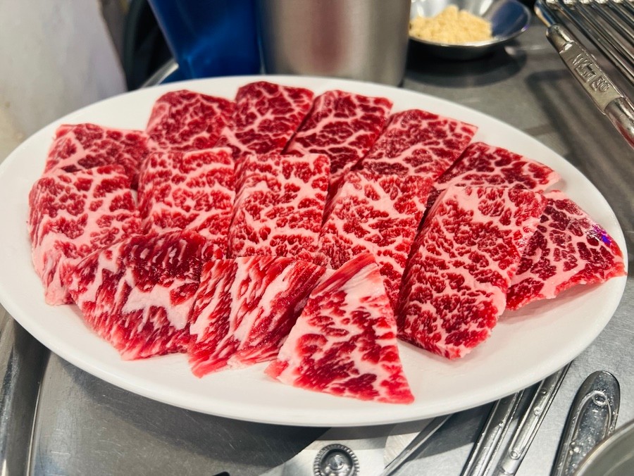 깡통소갈비살 도봉역본점 반려동물 동반 애견카페