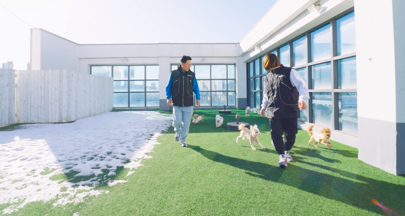 피피독 동탄애견유치원 애견호텔 애견교육 대표 이미지