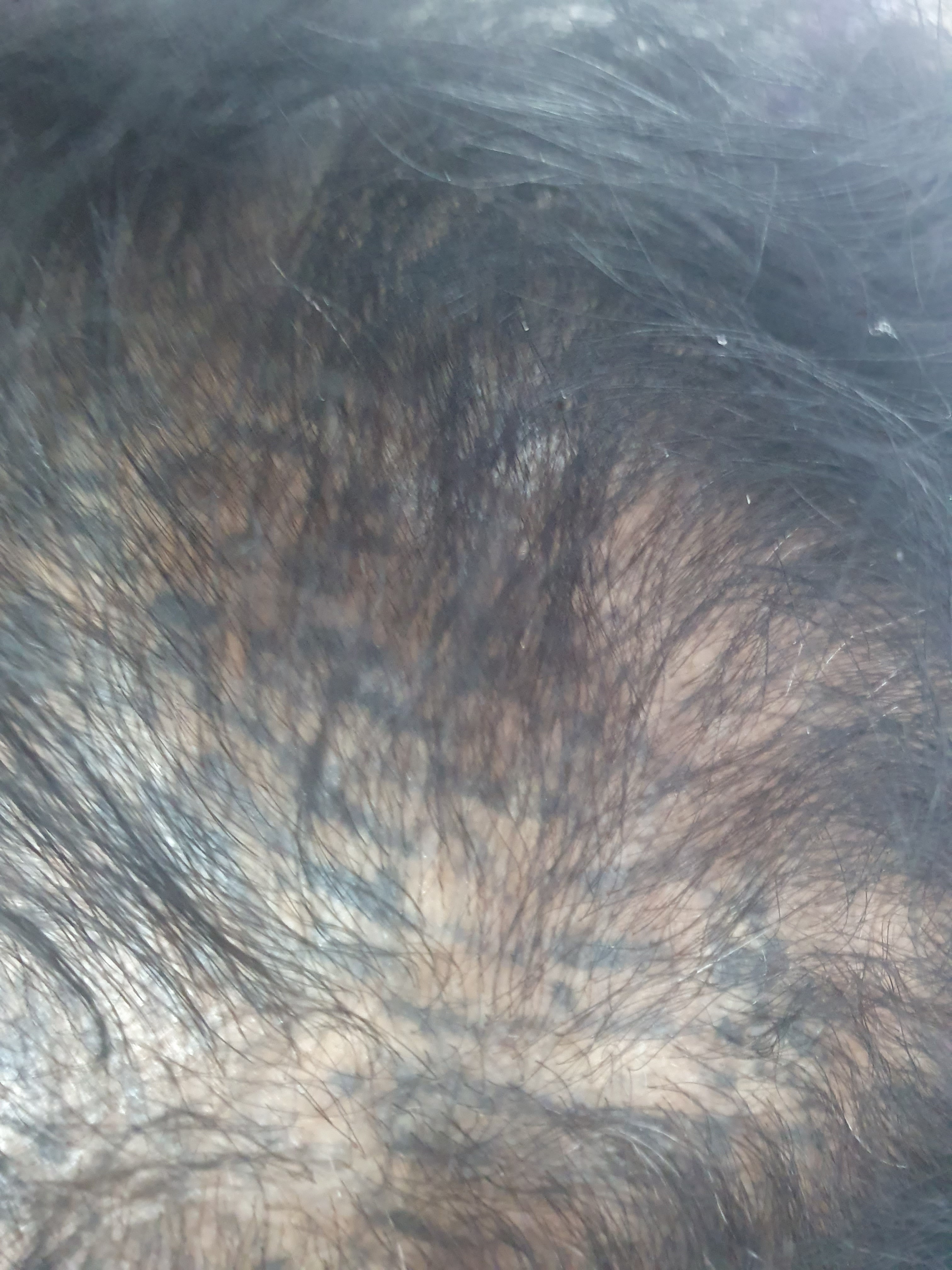 큐사랑 숭인점 대표 이미지