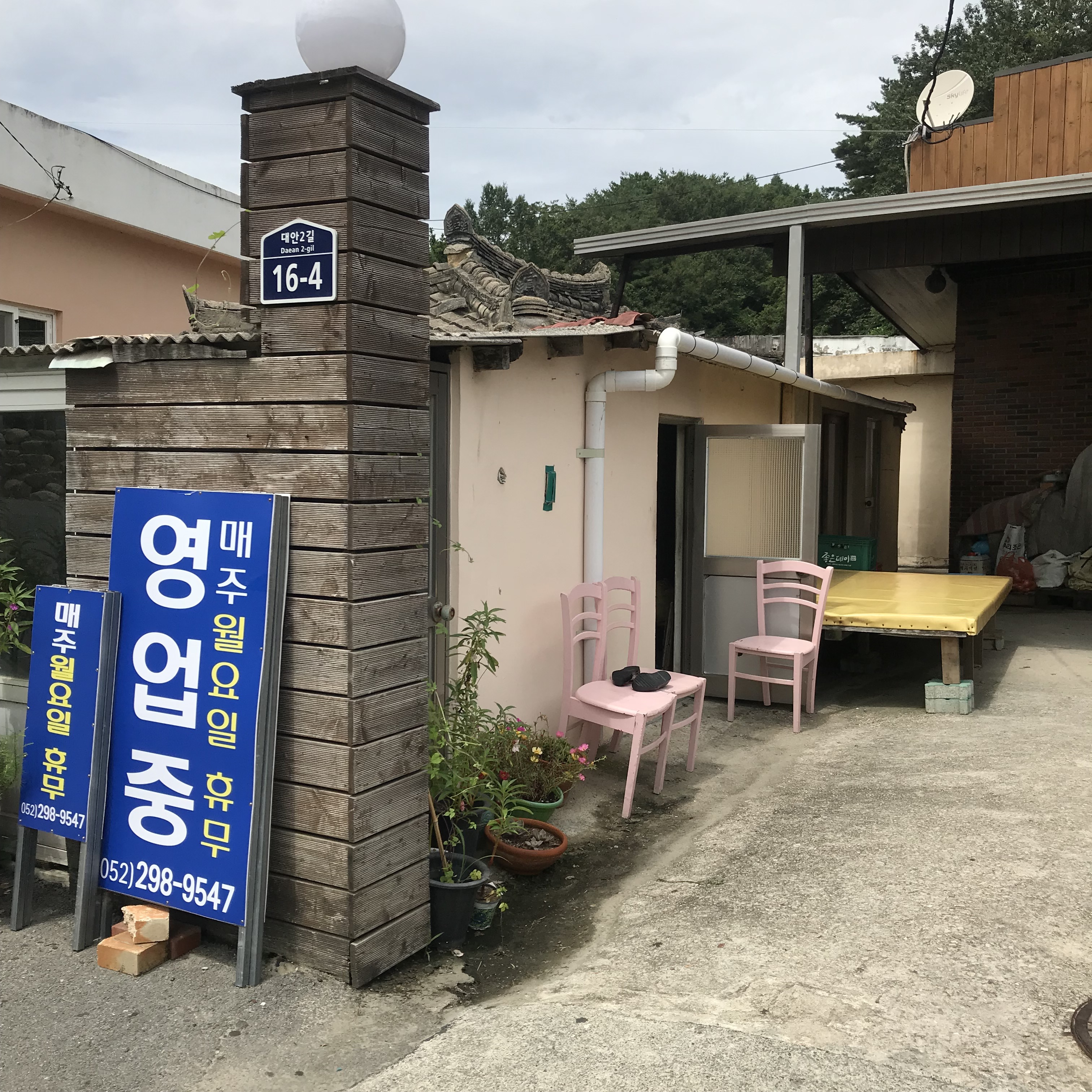 욕쟁이할매집