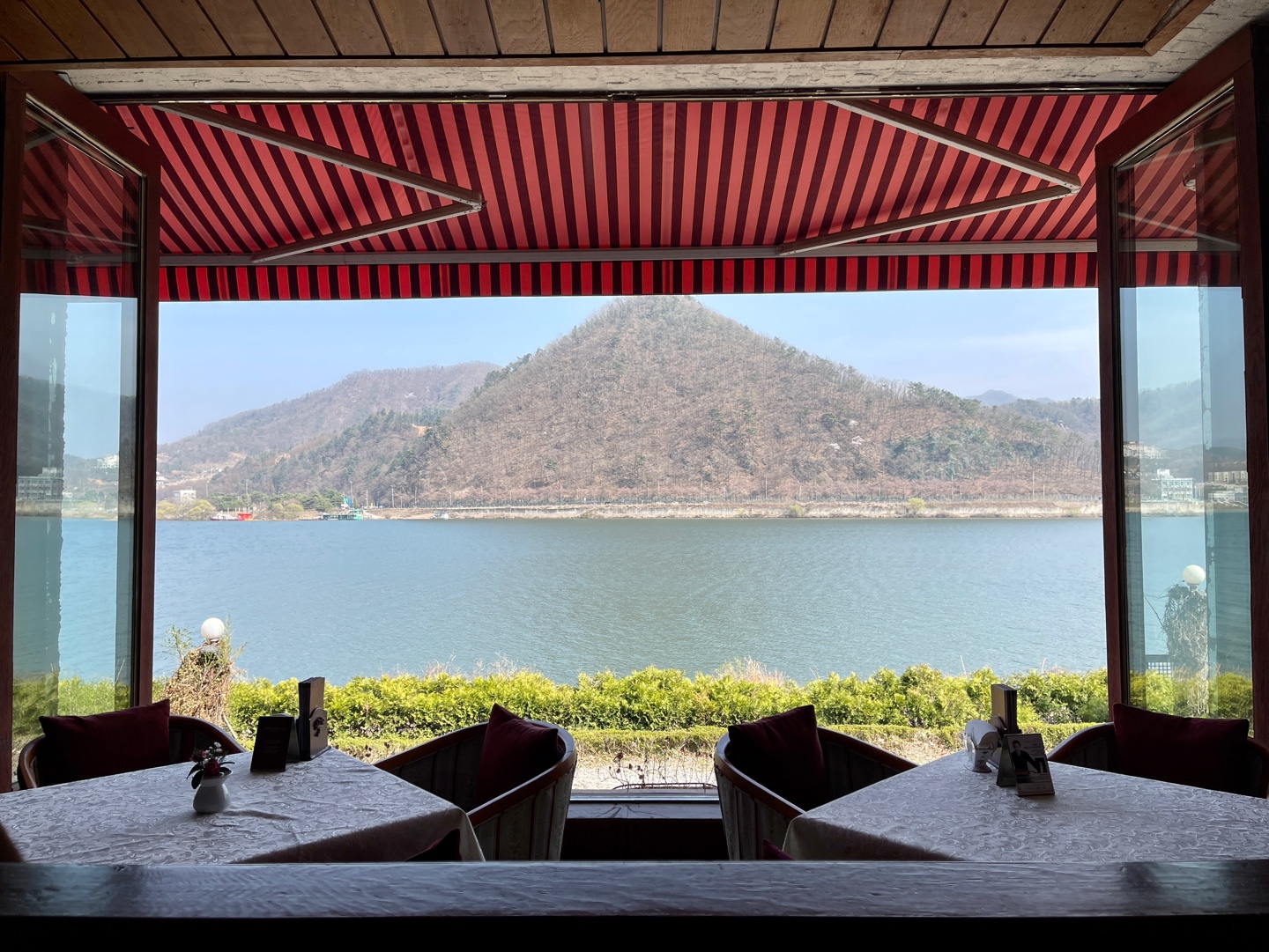 왈츠와 닥터만 사진 2