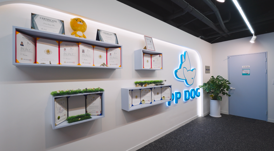 피피독 동탄애견유치원 애견호텔 애견교육 대표 이미지