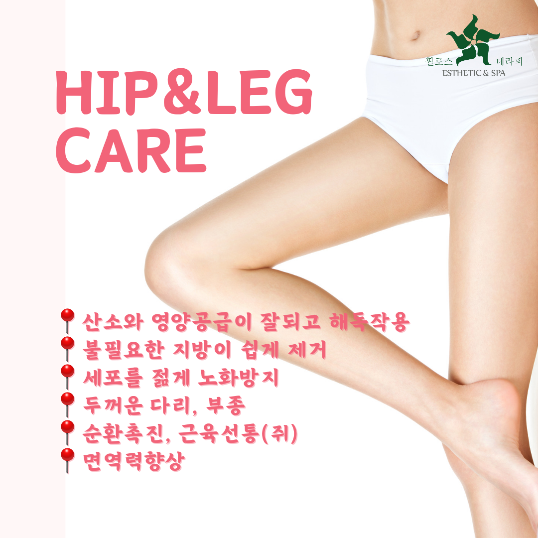 다원하다 대표 이미지