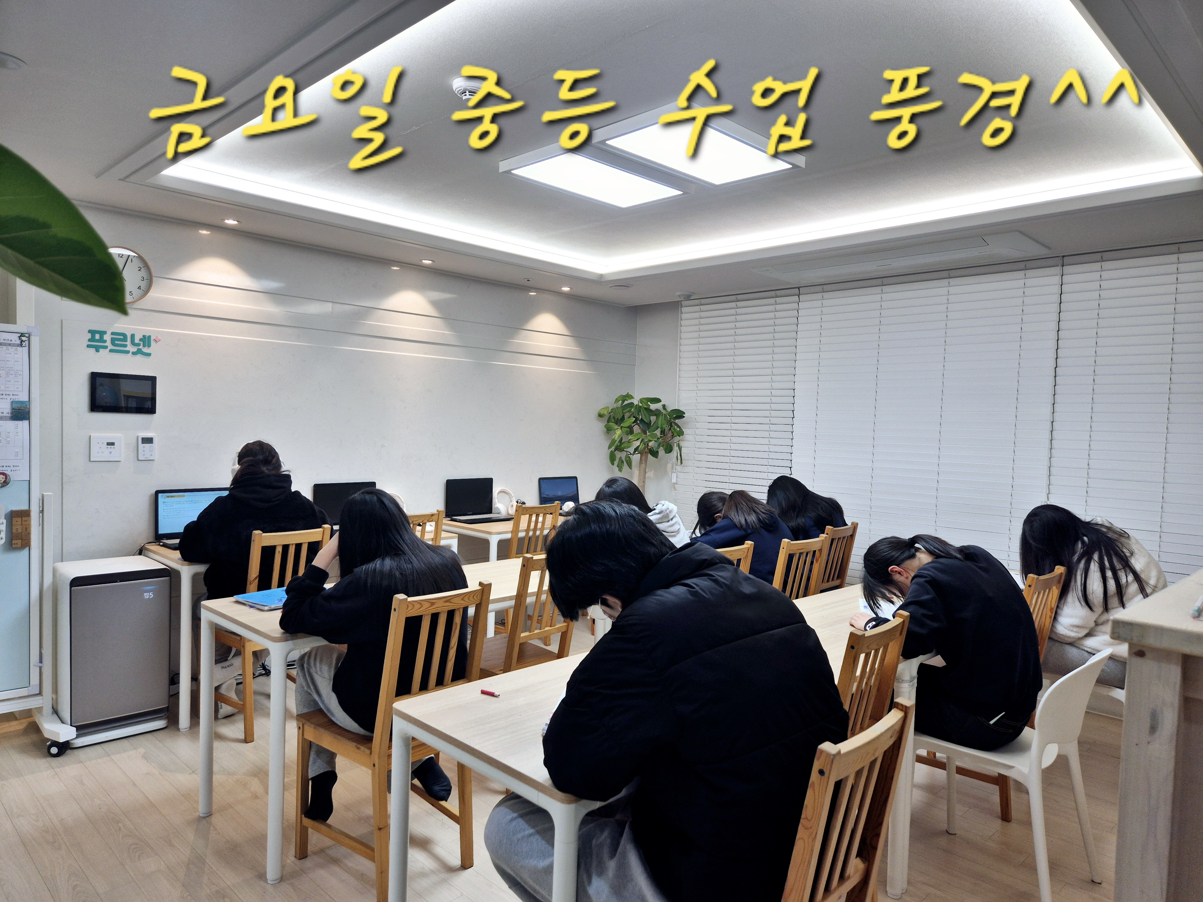 중등수학전문 푸르넷