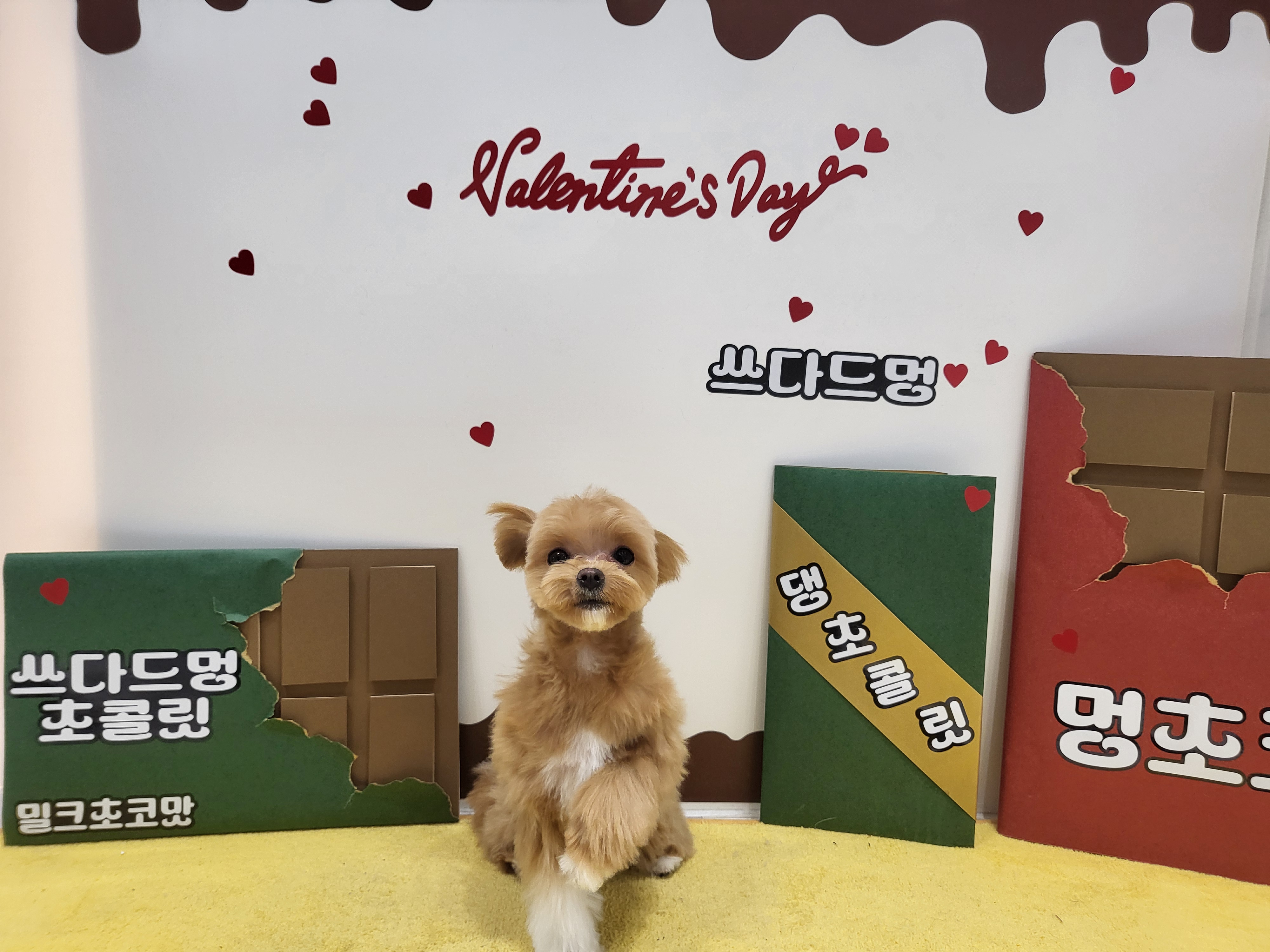 쓰다드멍 대표 이미지