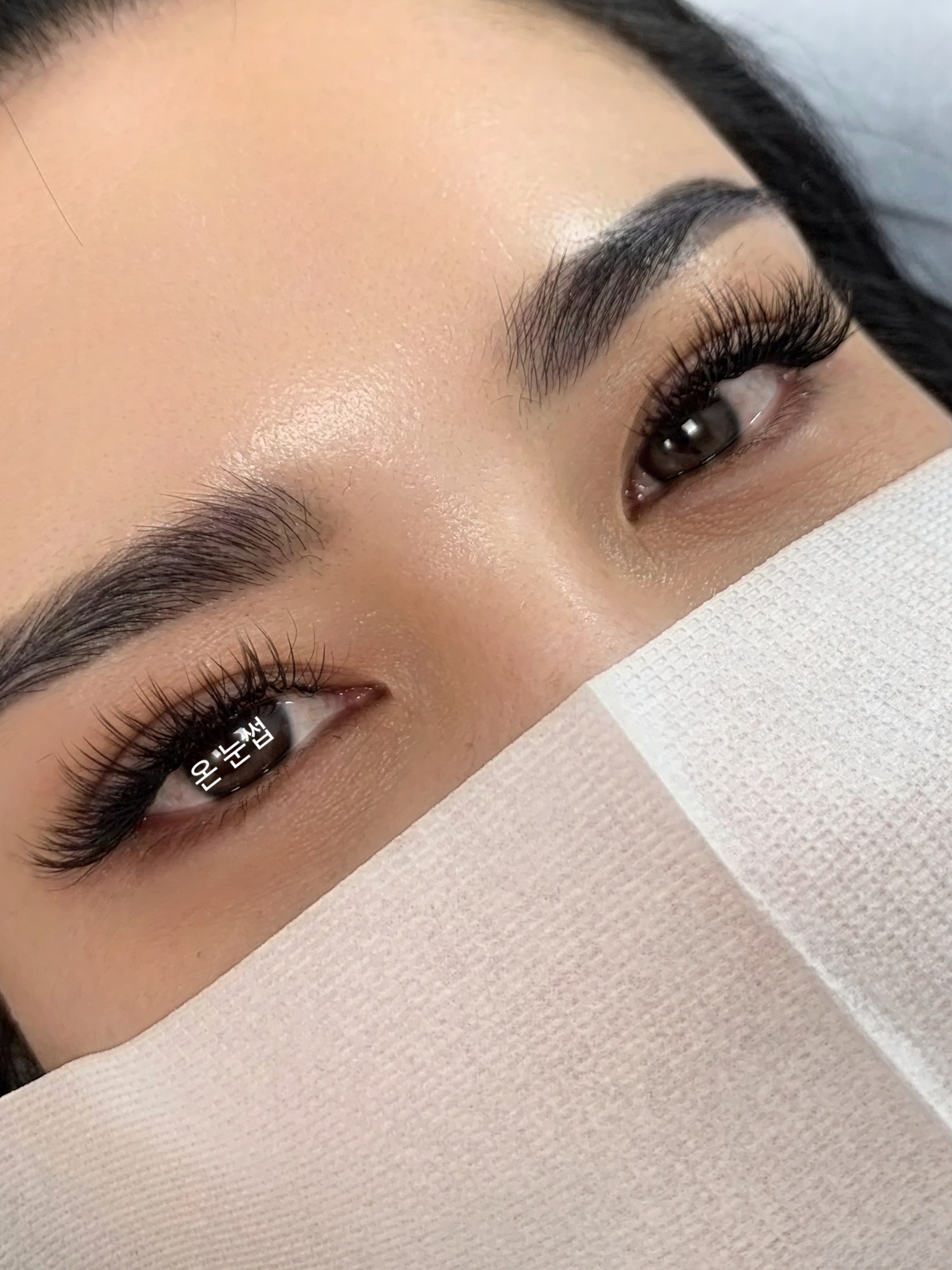 온눈썹 대표 이미지