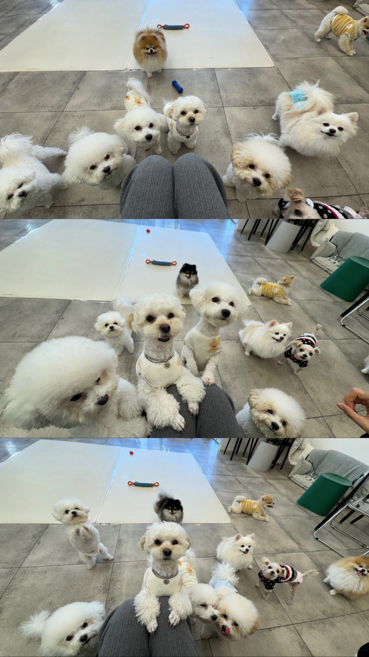 오미네카페 대표 이미지