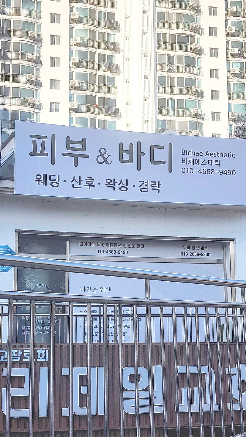 비채 photo 3