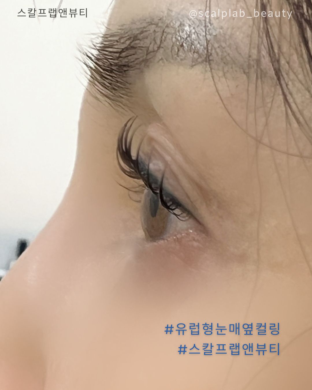 스칼프랩앤뷰티 속눈썹&눈썹&탈모 의정부점