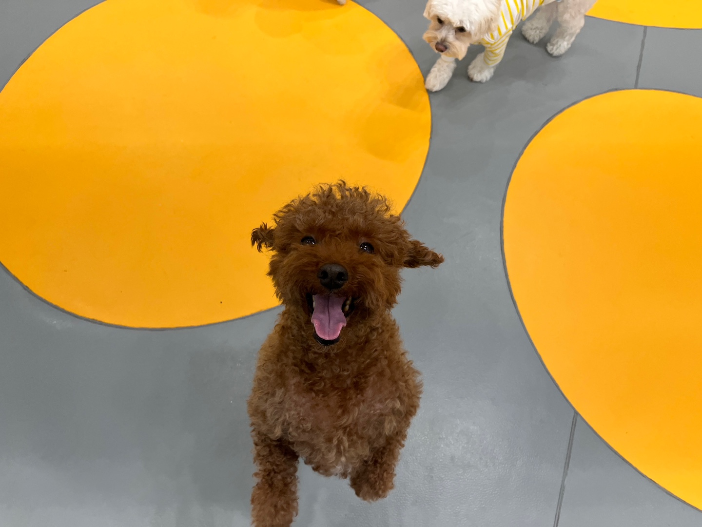 옐레드 문래역점 대표 이미지