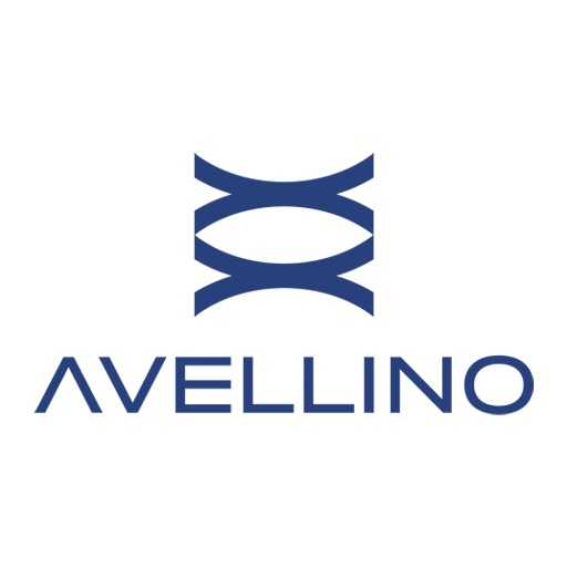 아벨리노 대표 이미지