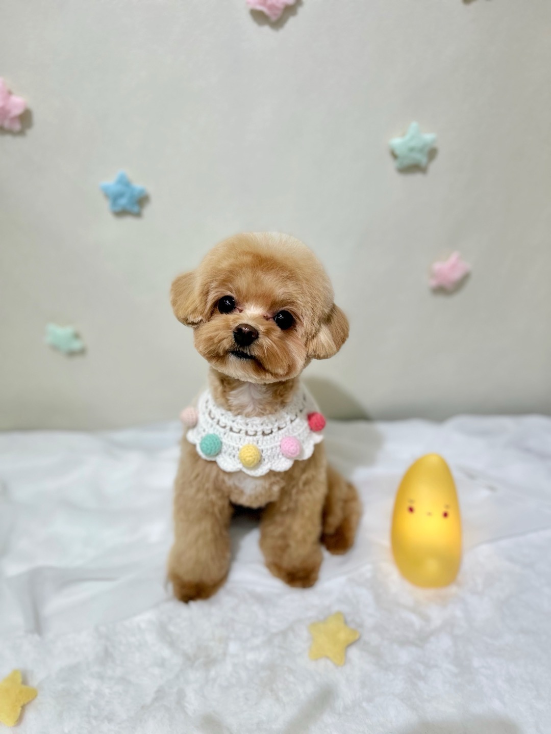 슈가멍 대표 이미지