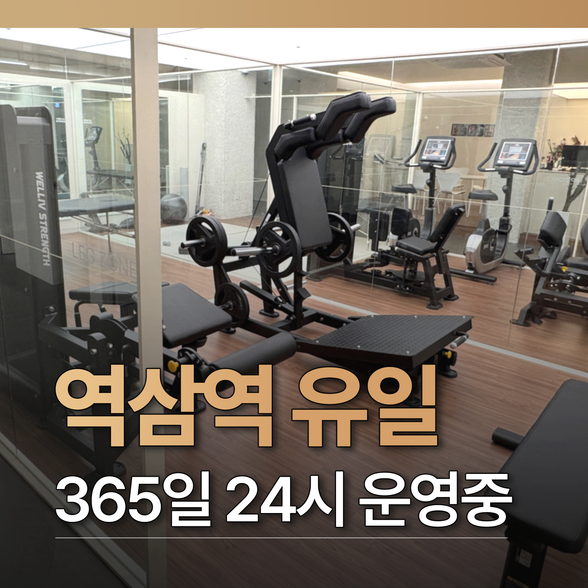 샵피트니스 PT&헬스 역삼점
