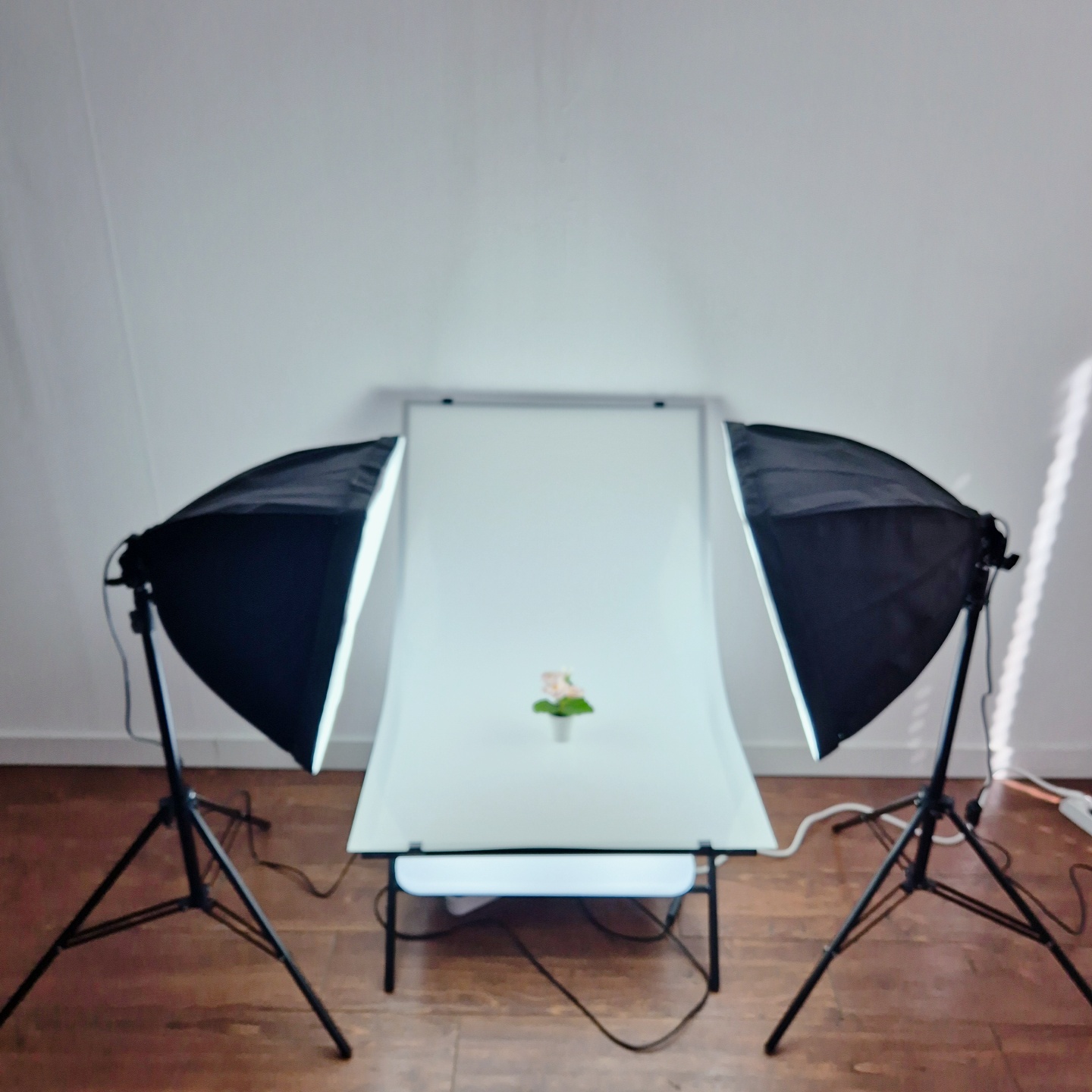 더샘스튜디오 대표 이미지