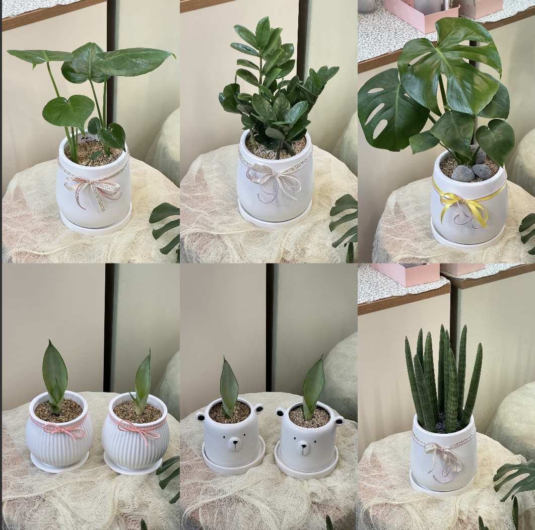 엘리안 아뜰리에