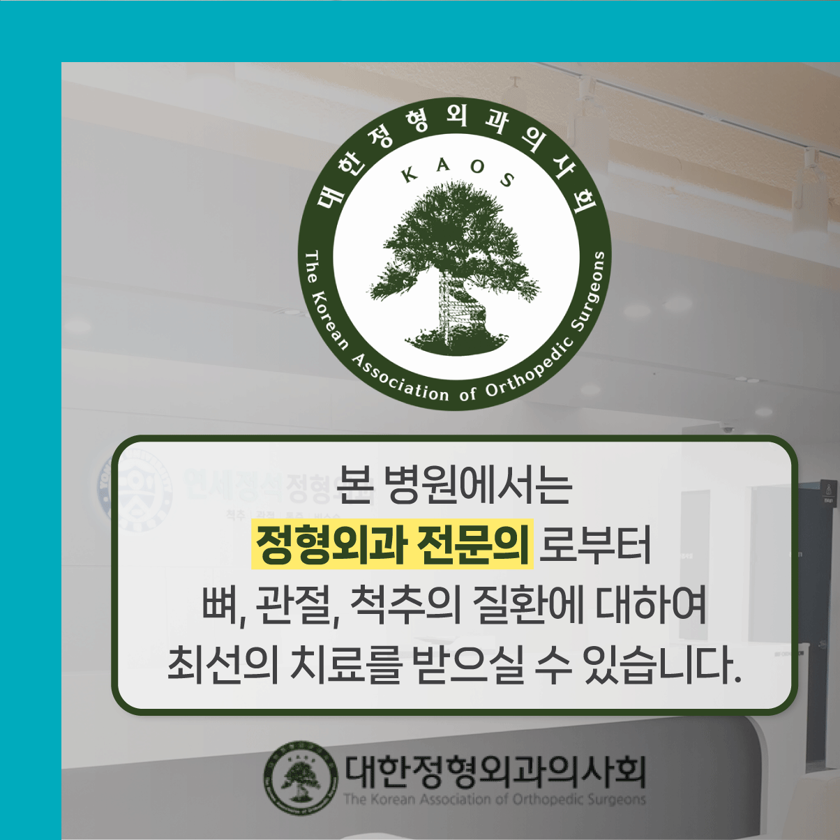 연세정석정형외과의원