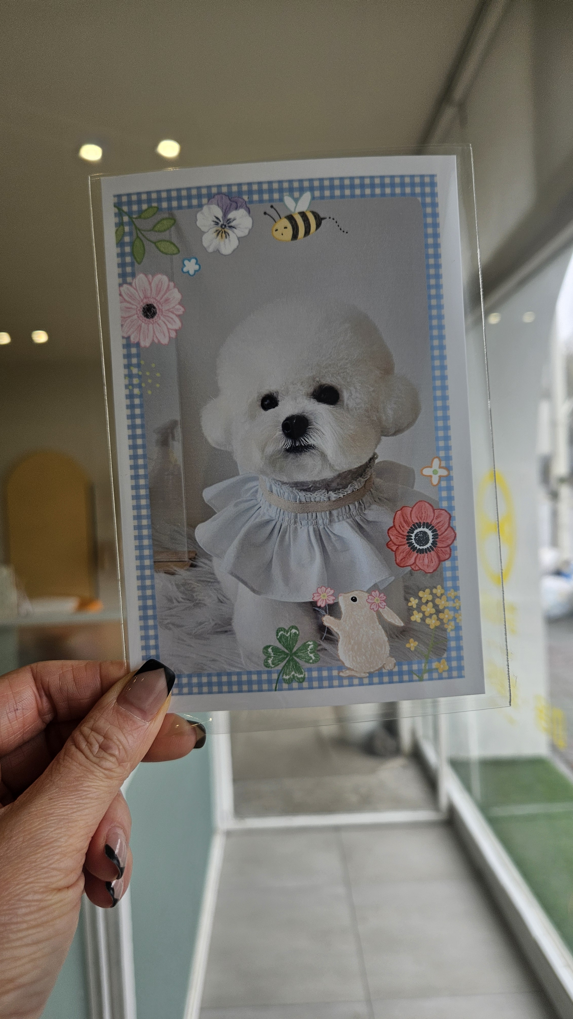 컬리살롱 대표 이미지