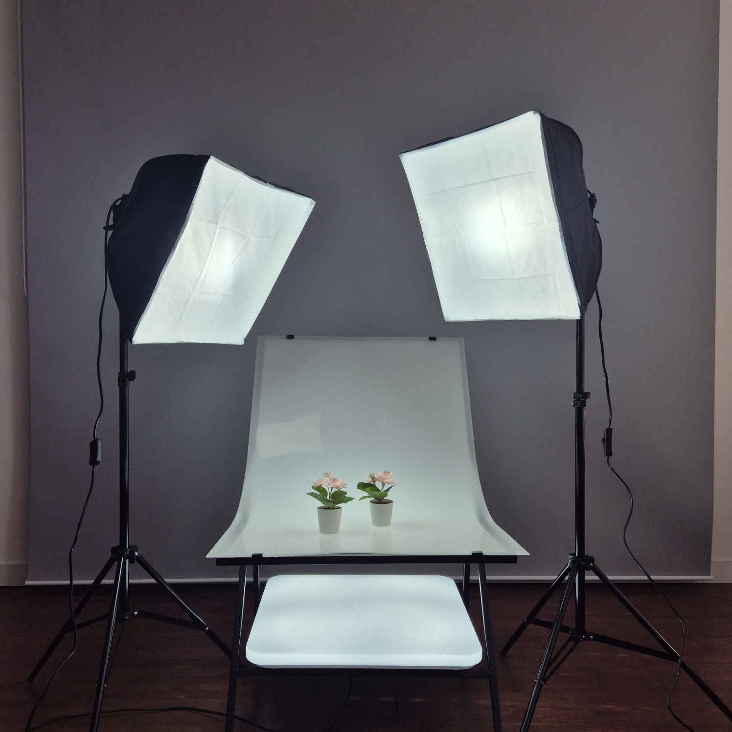 더샘스튜디오 대표 이미지