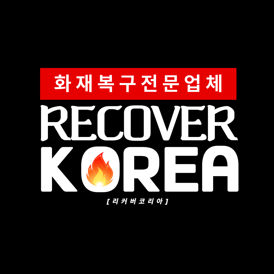 리커버코리아