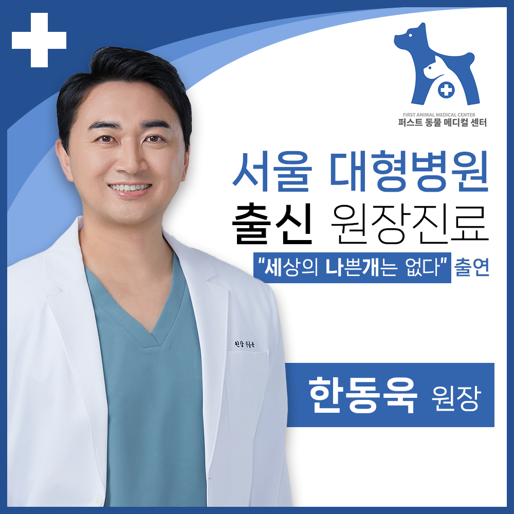 퍼스트동물메디컬센터
