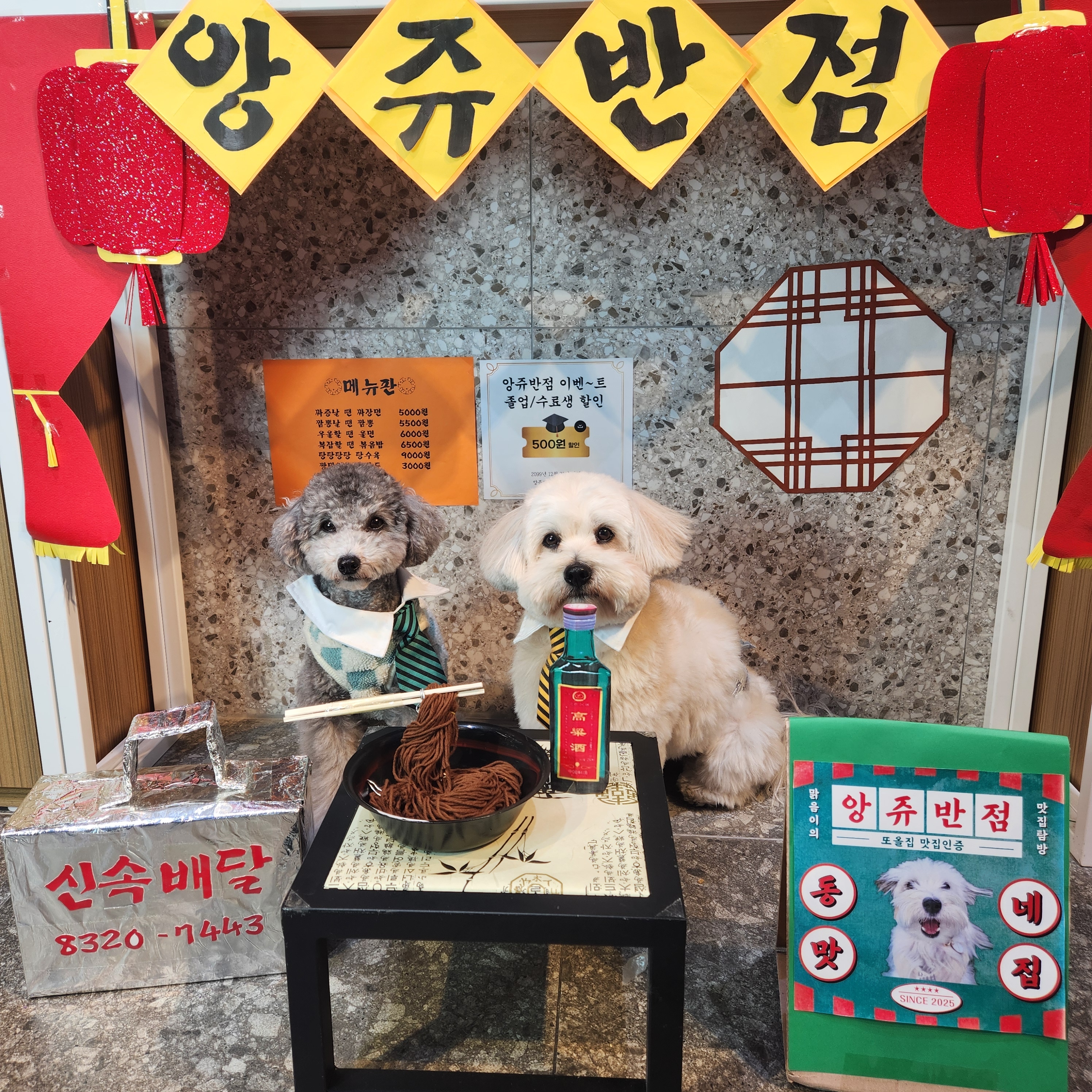 앙쥬레브 애견유치원 부천점 대표 이미지