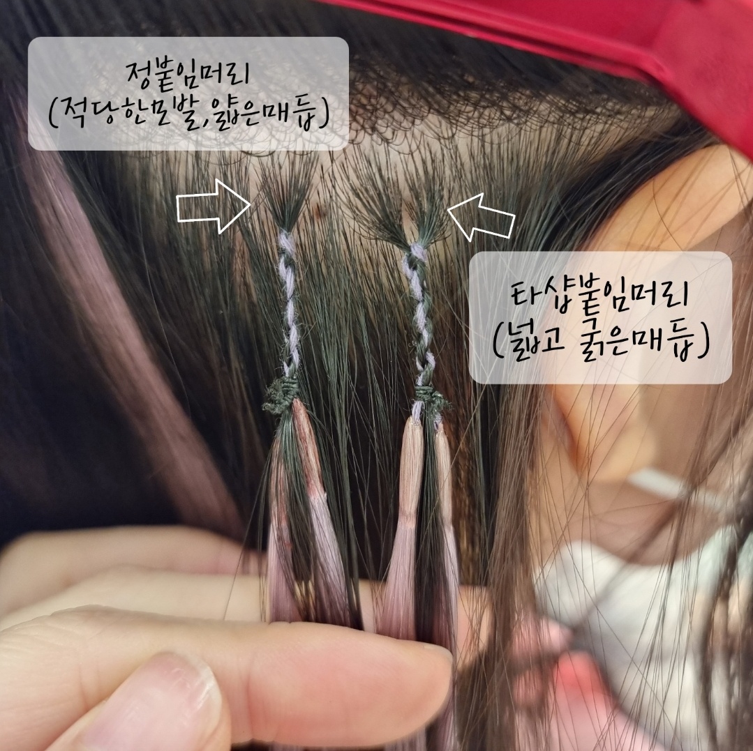 청주 정붙임머리