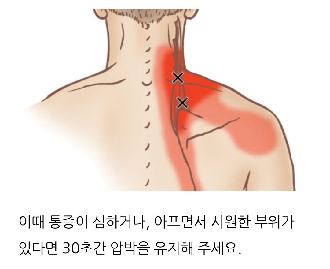 필샵 대표 이미지