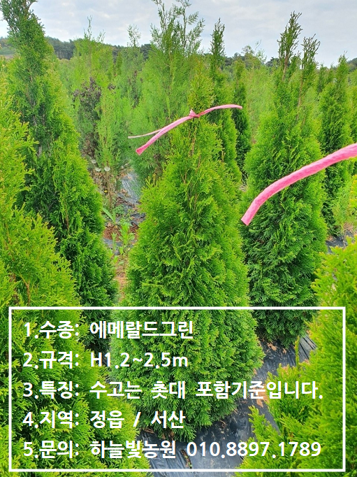 하늘빛농원