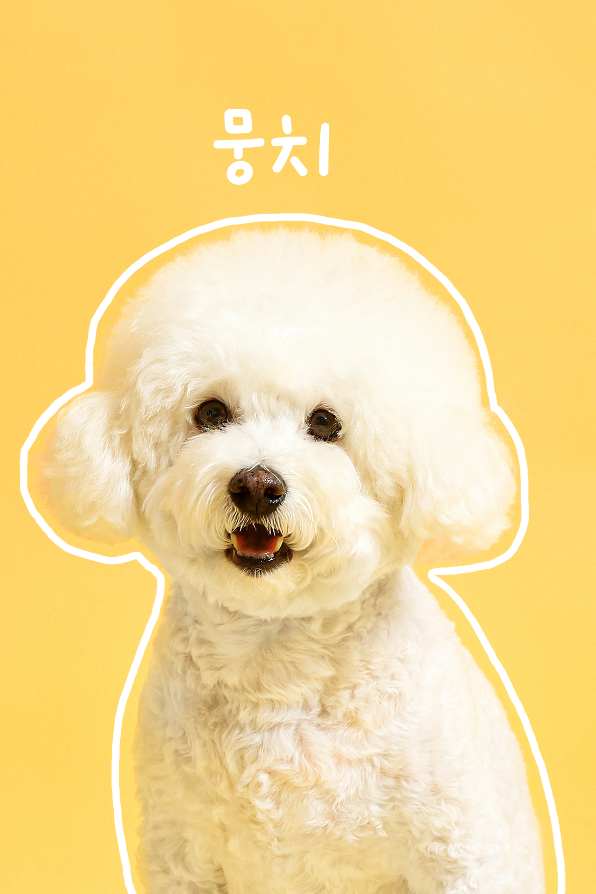 사진관,하연