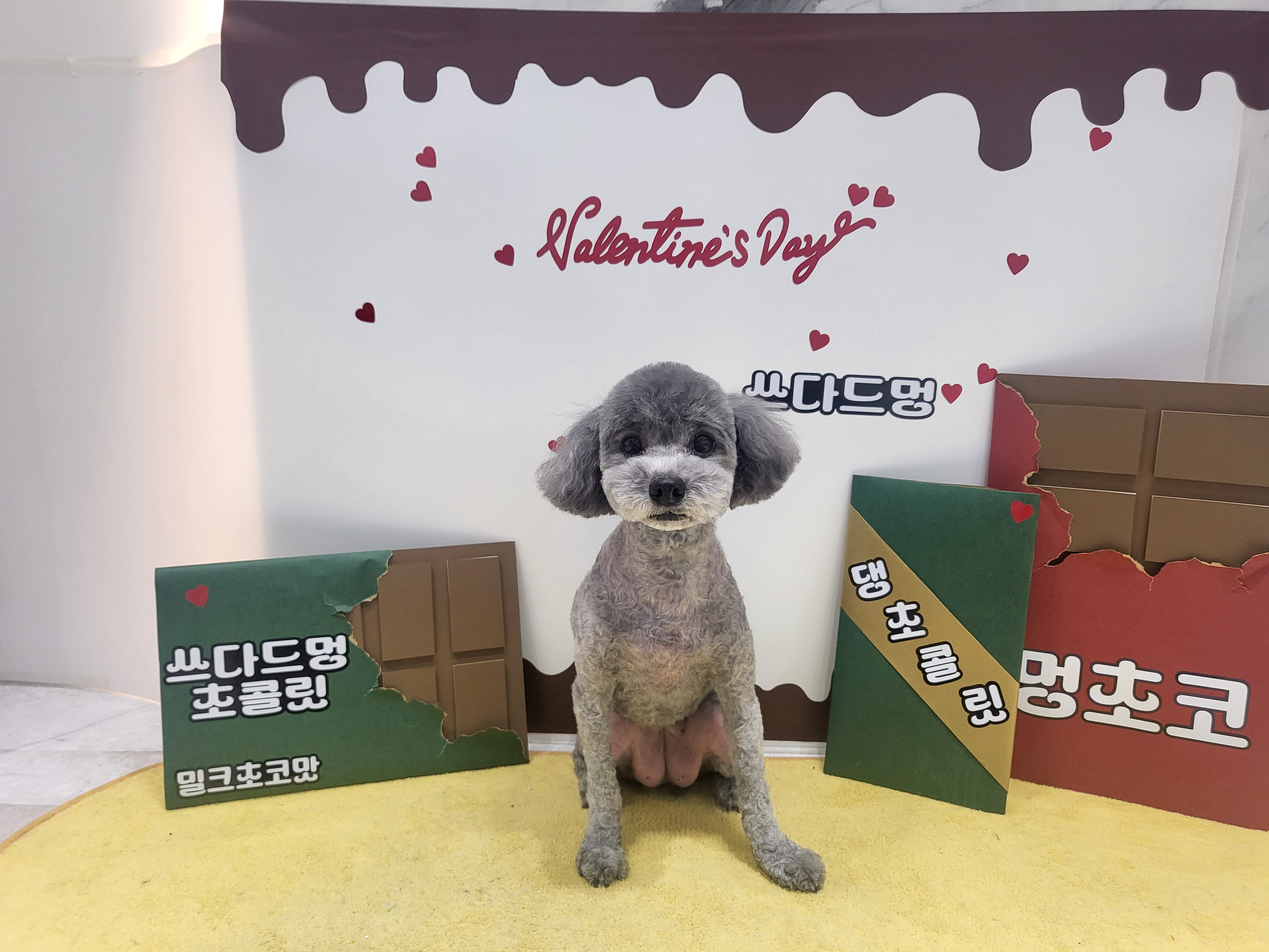 쓰다드멍 대표 이미지