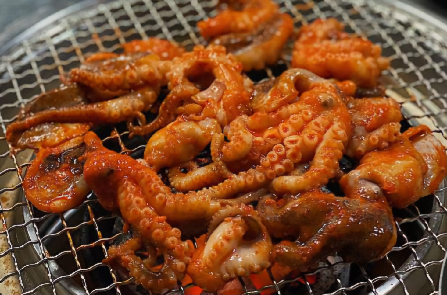꽃돼지브로
