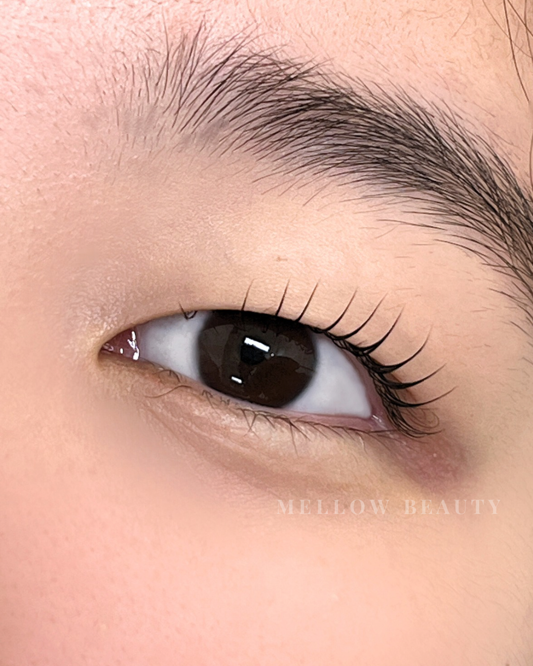 멜로우뷰티 대표 이미지