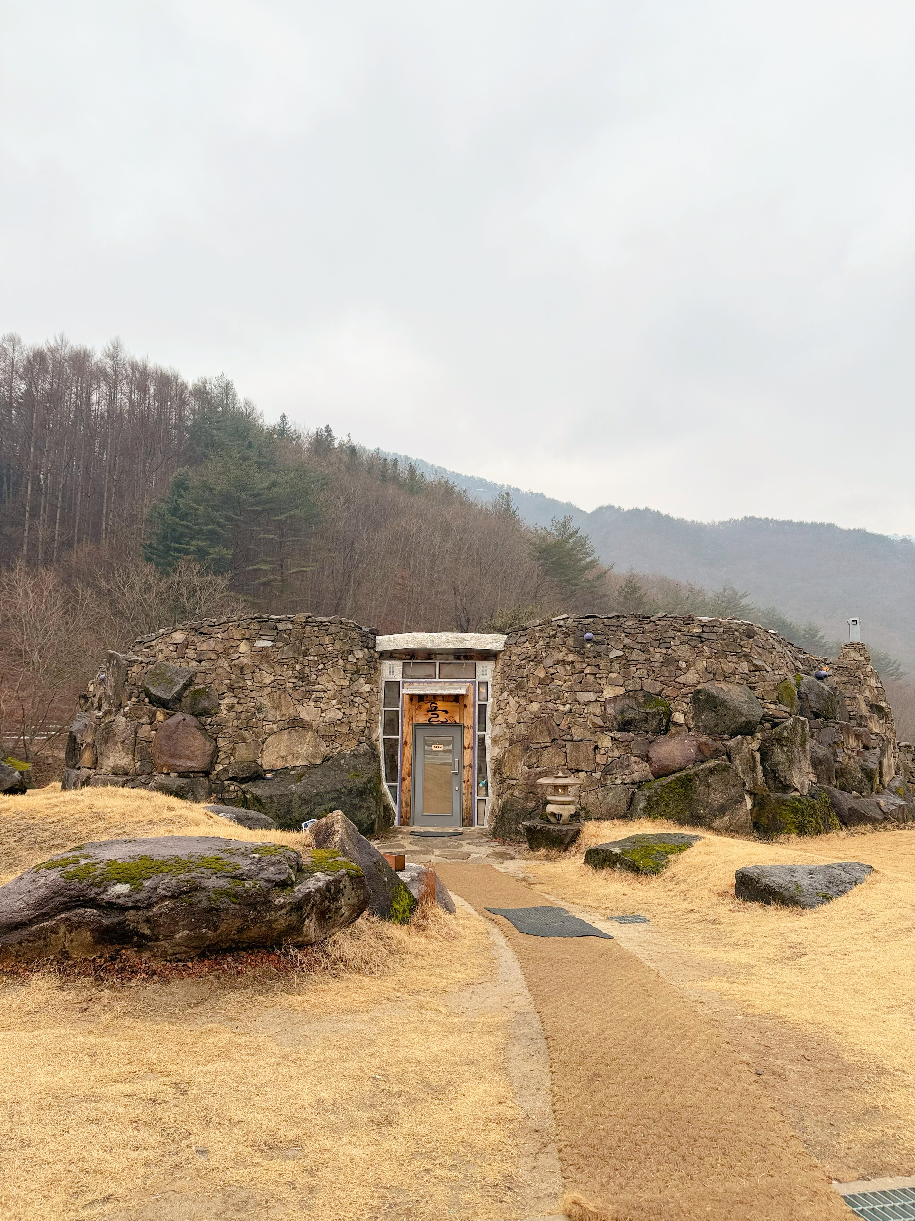 카페 돌 반려동물 동반 애견카페