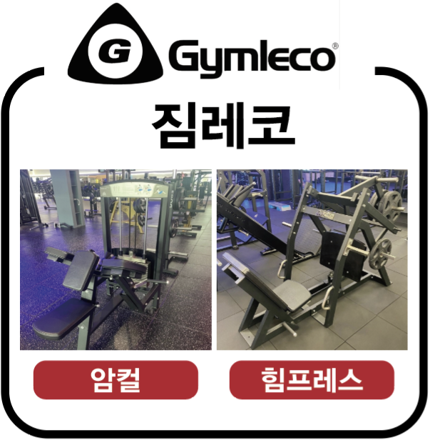바디짐