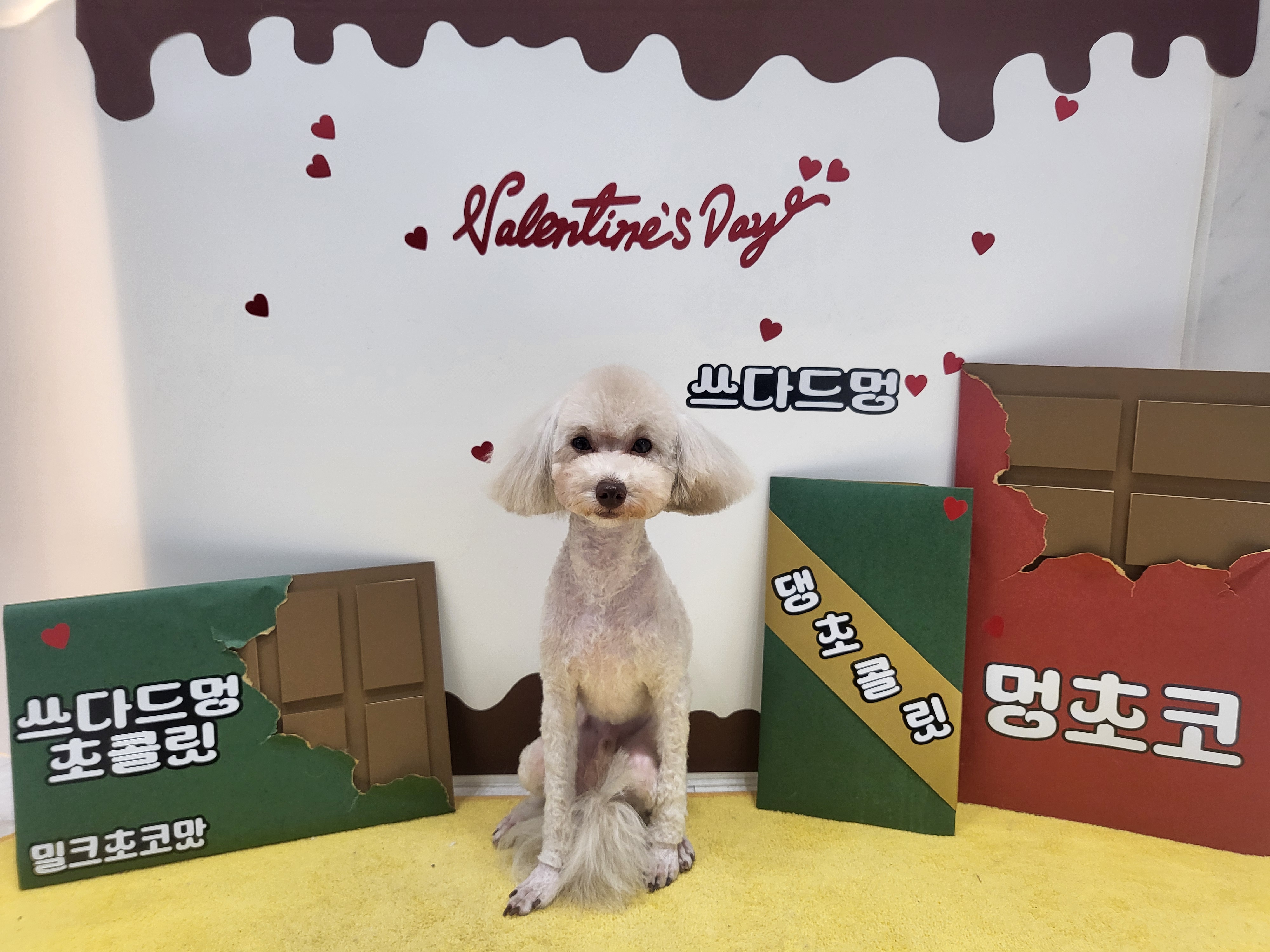 쓰다드멍 대표 이미지