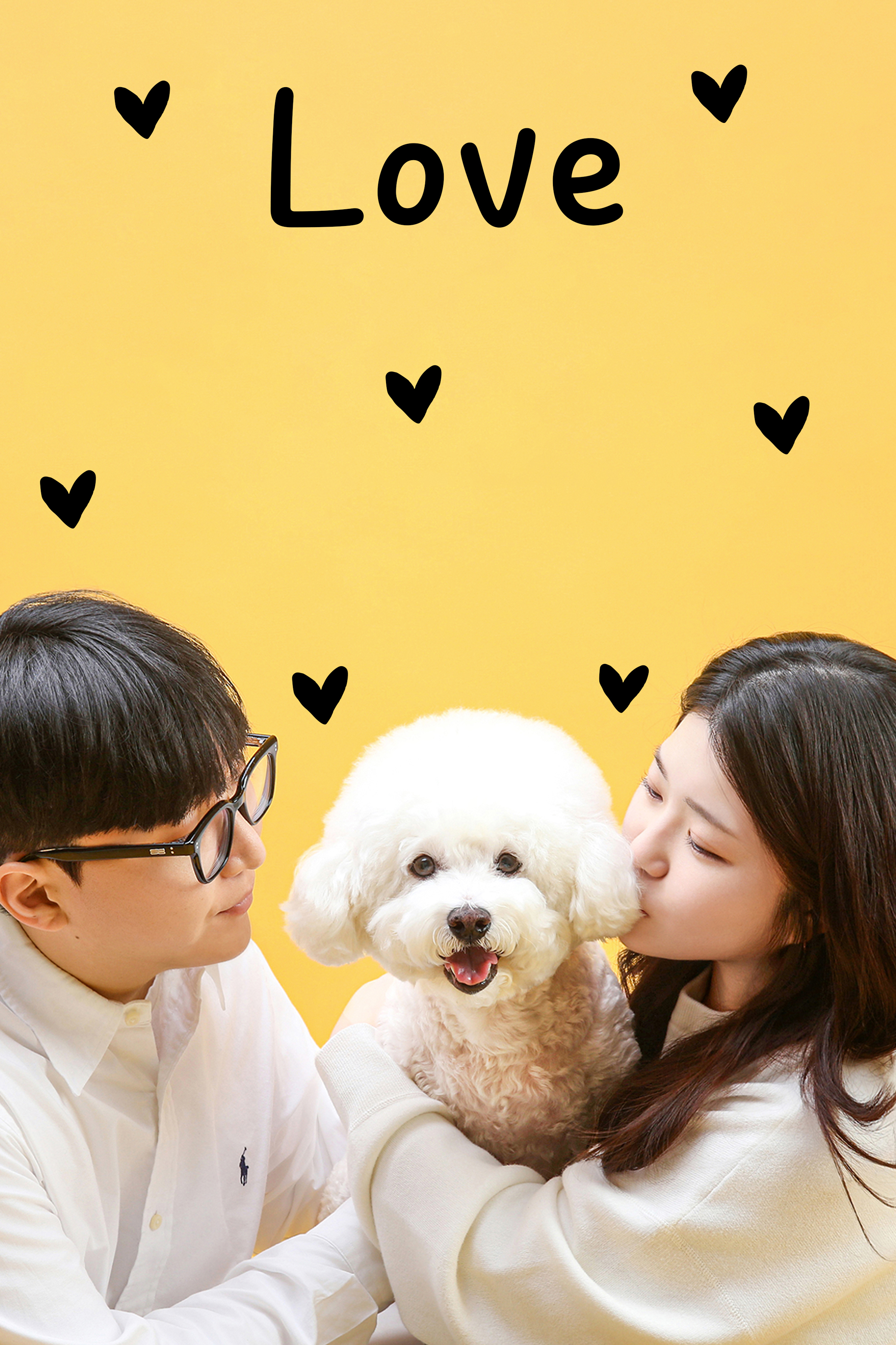 사진관,하연