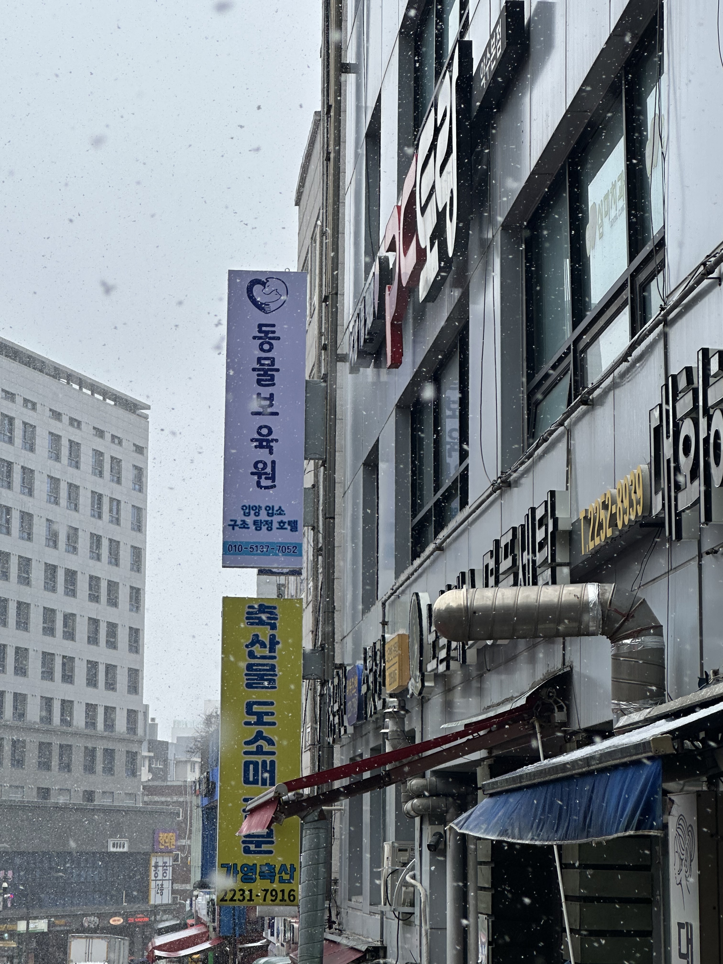 동물보육원 서울본부 대표 이미지