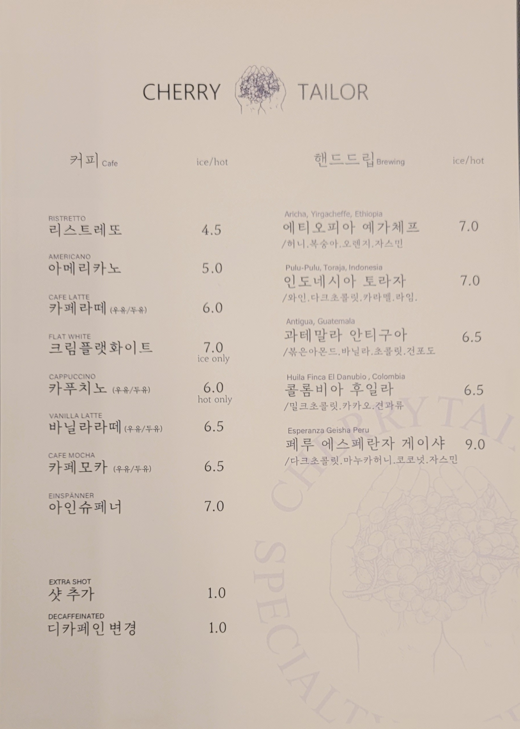 체리테일러 3