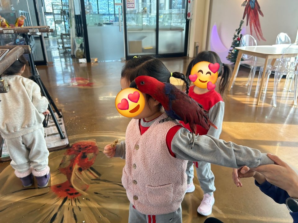 앵무새카페 버드리 하남점