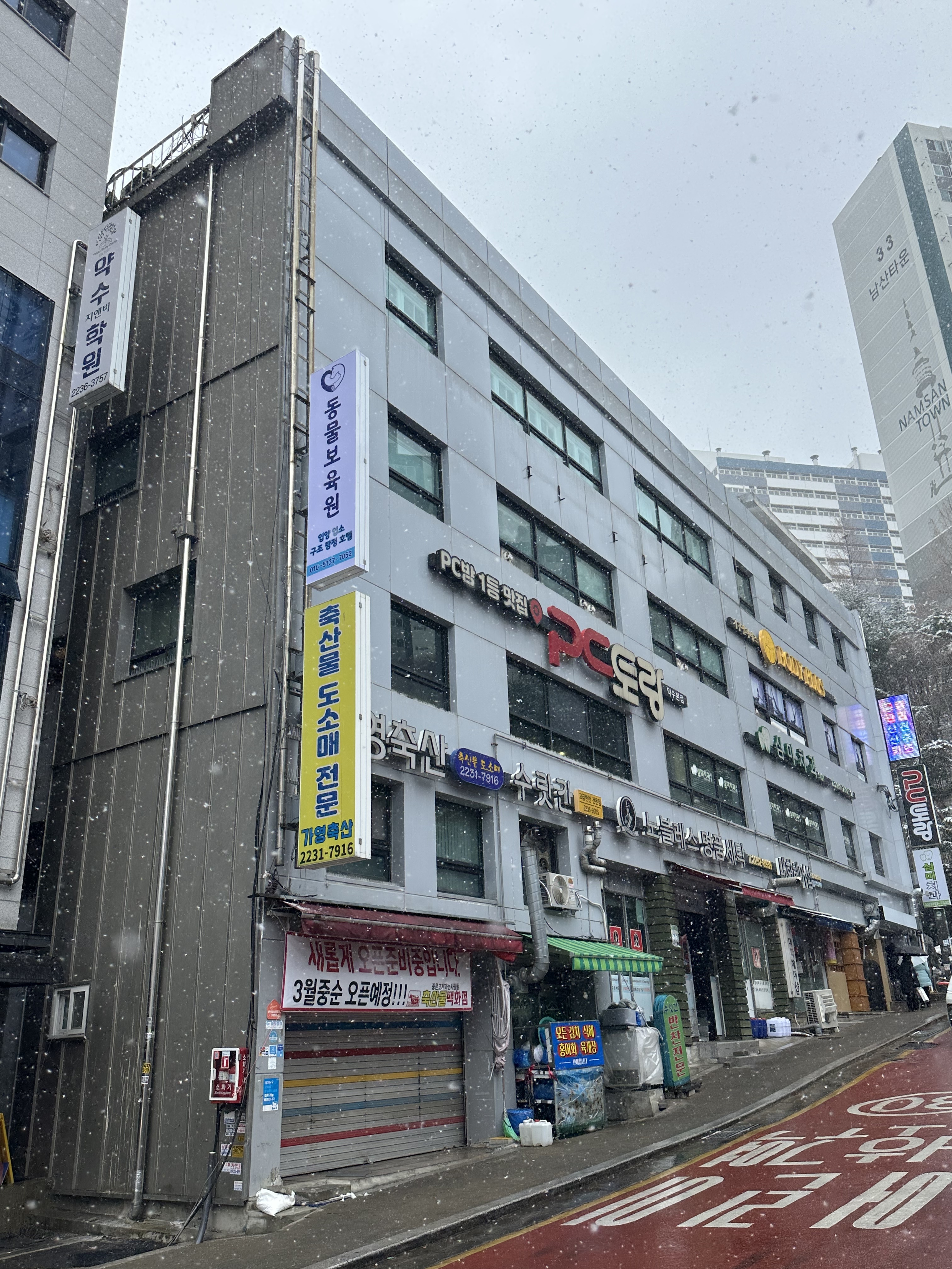 동물보육원 서울신당지부 대표 이미지