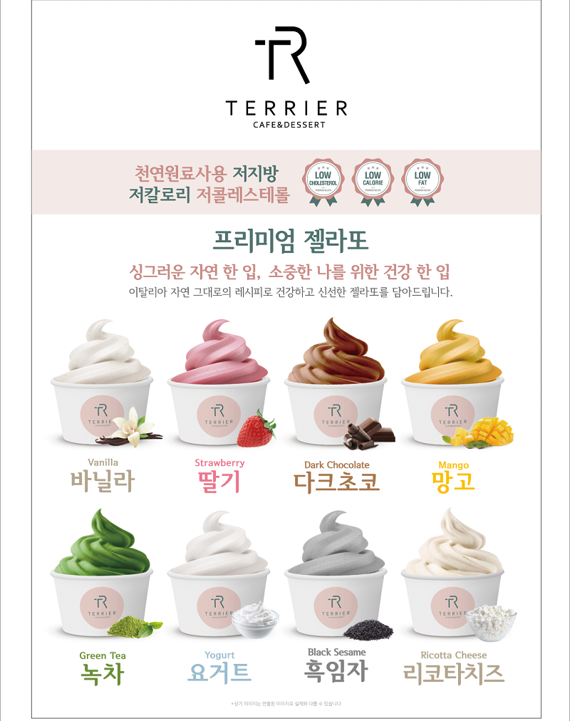 테리어 반려동물 동반 애견카페