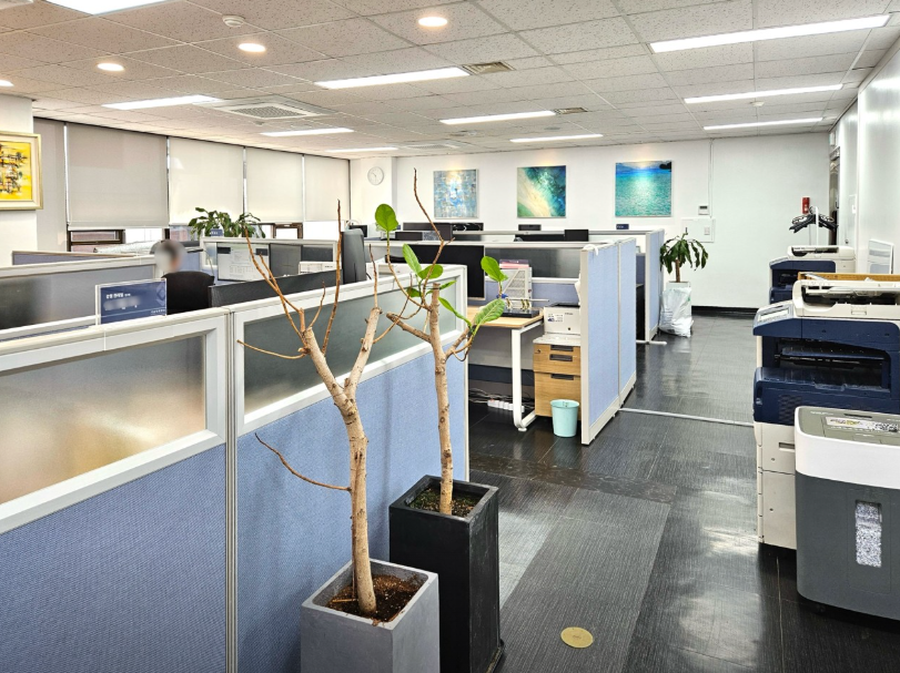 기율법률사무소 대표 이미지