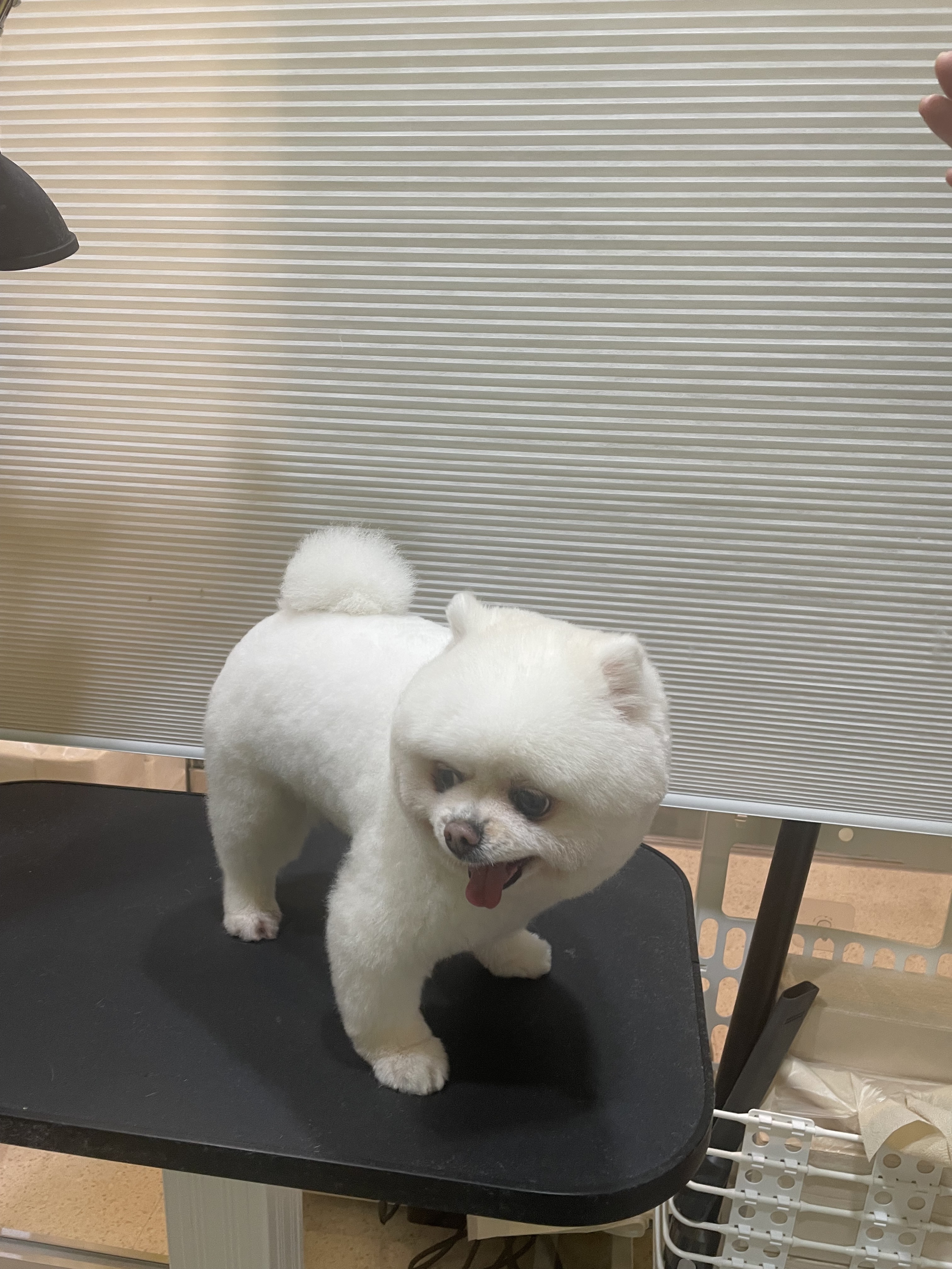 그루밍74 대표 이미지