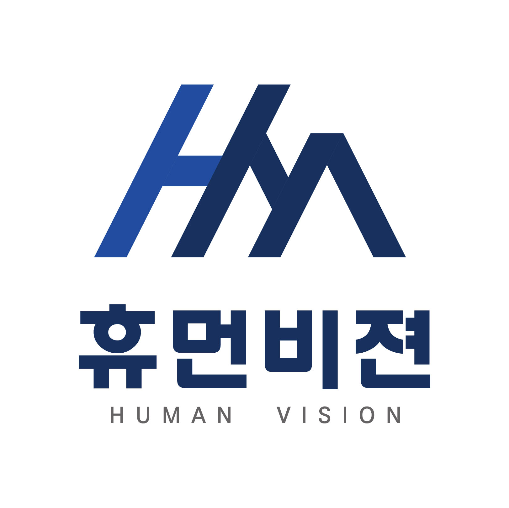 휴먼비젼