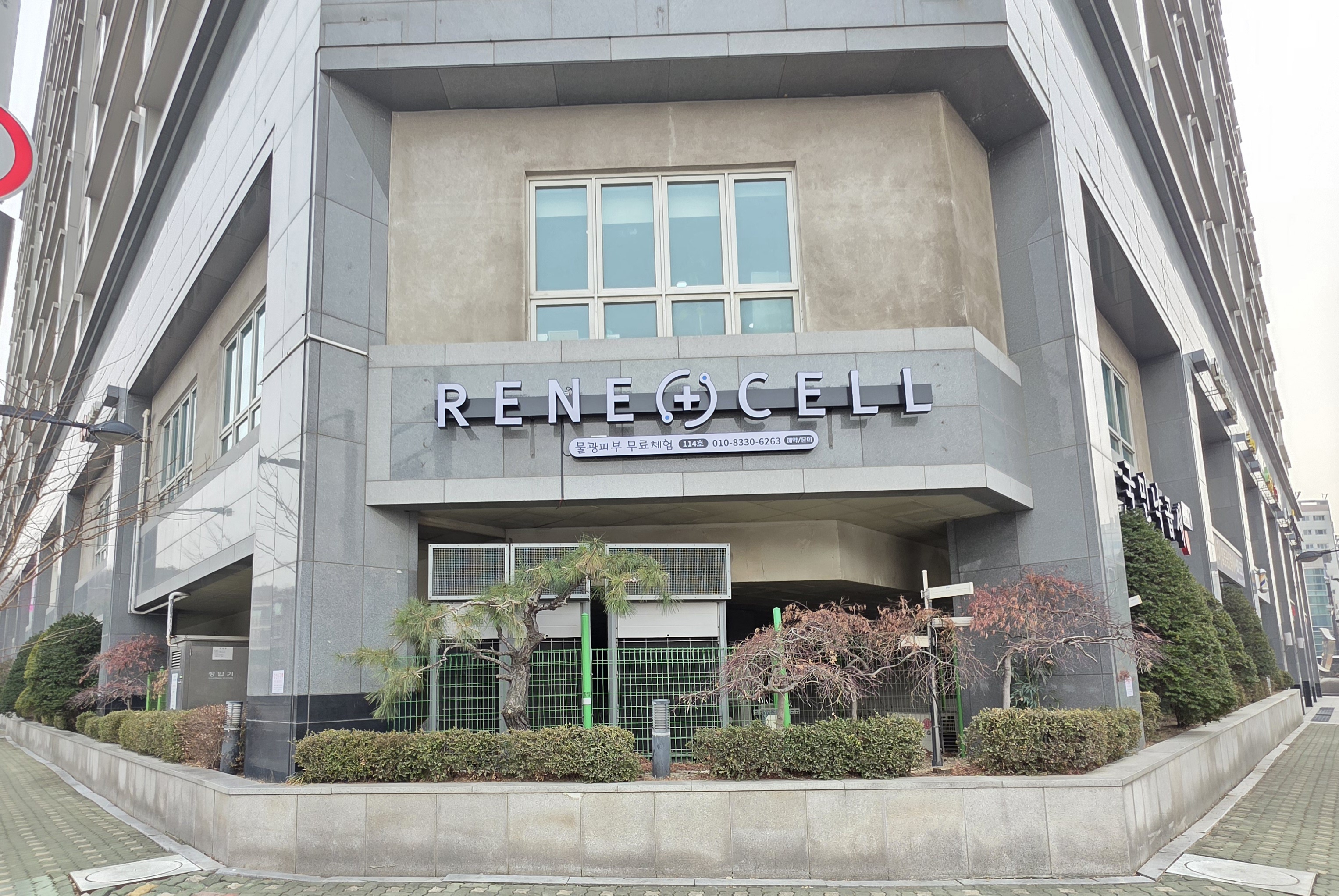 르네셀