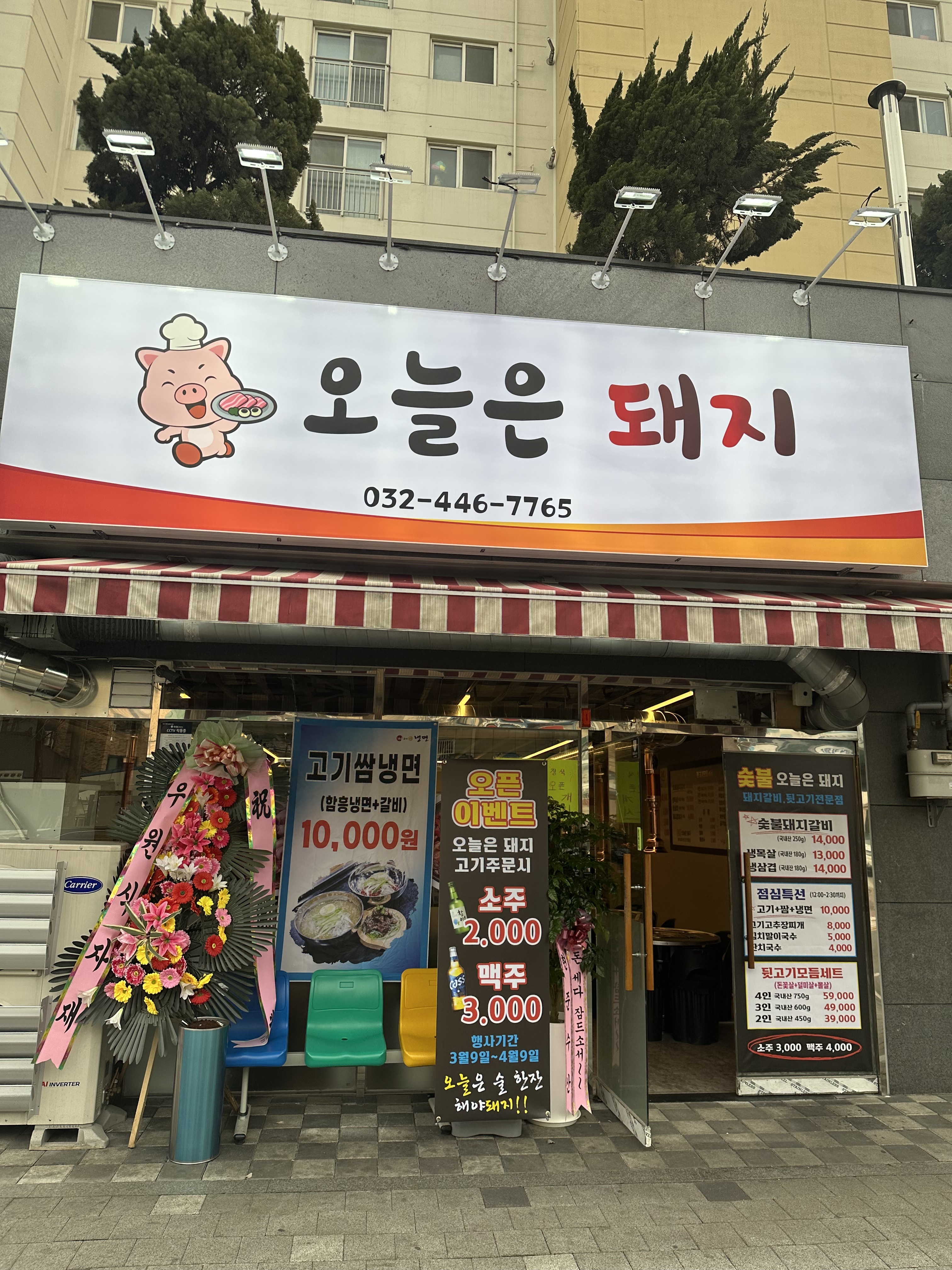 오늘은돼지