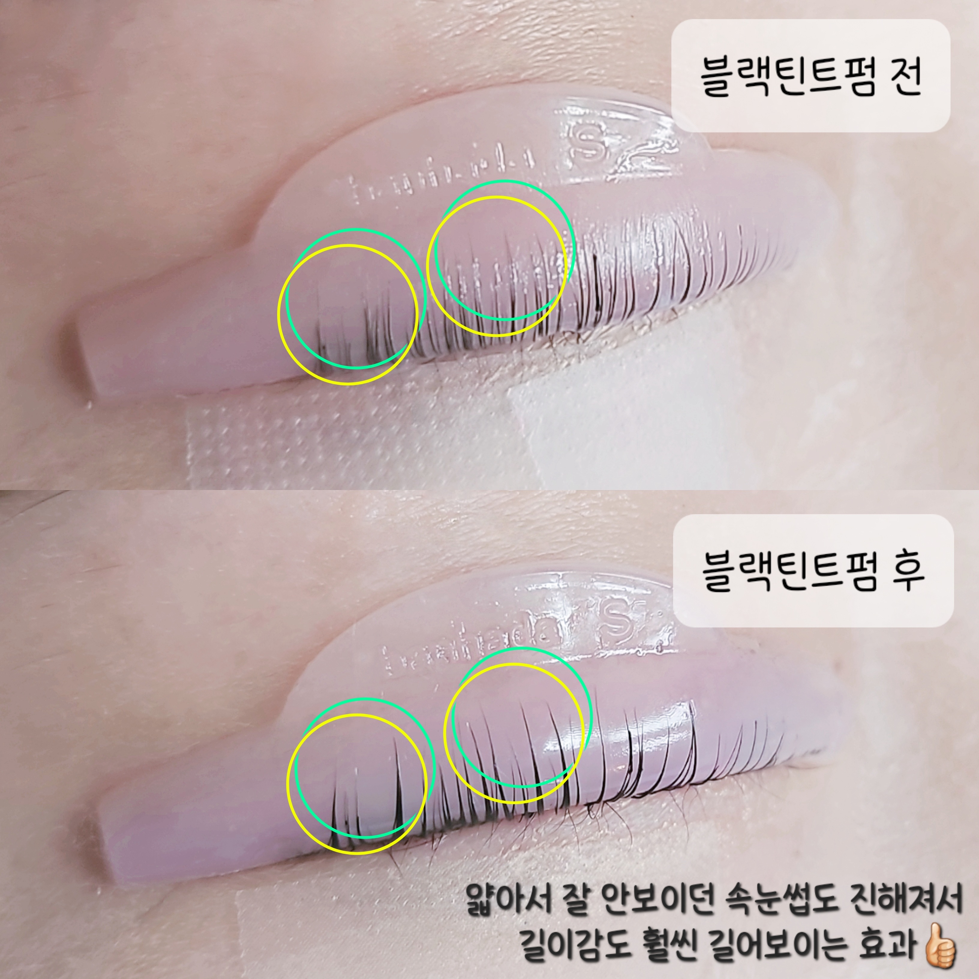 아잉래쉬